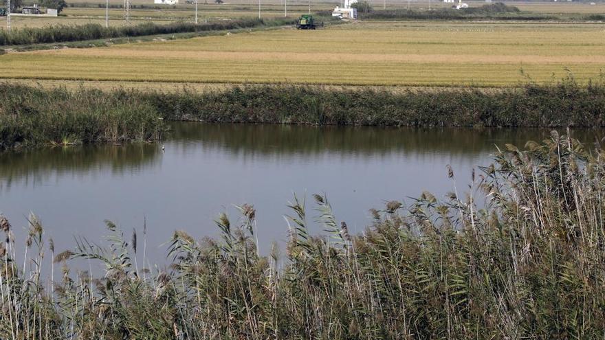 Conoce las seis rutas que recorren l&#039;Albufera