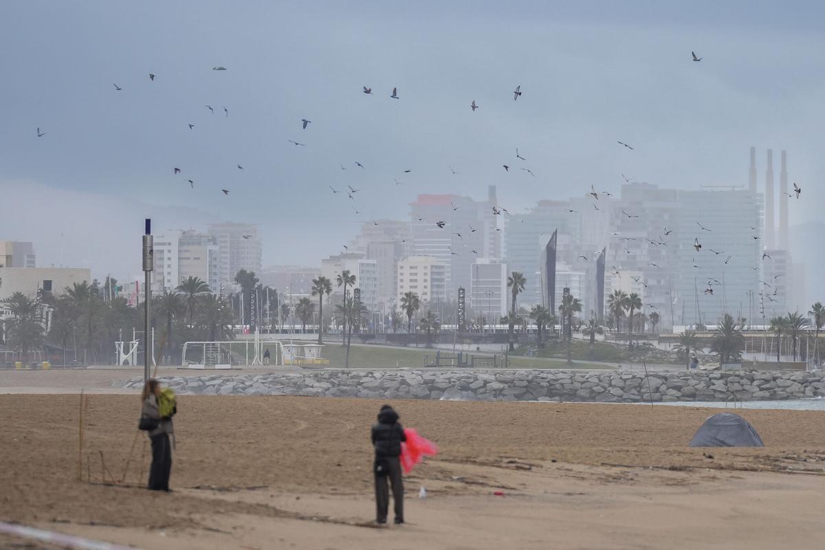 Vecinos de Barcelona pasean bajo la lluvia durante el temporal, a 19 de enero de 2026, en Barcelona, Cataluña (España).