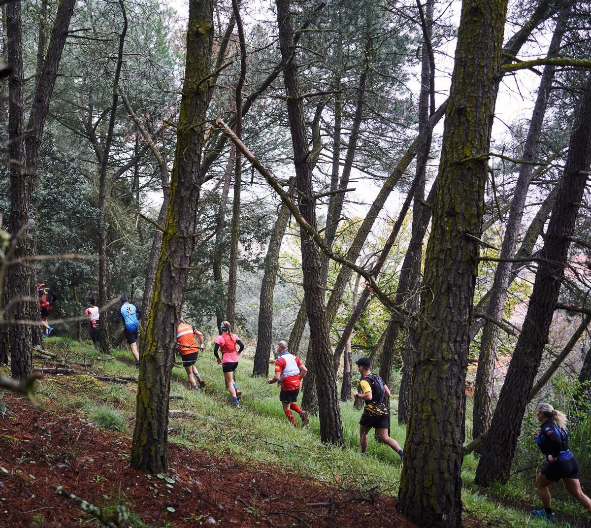 Los corredores realizan una subida durante la disputa del Trail Carpurias