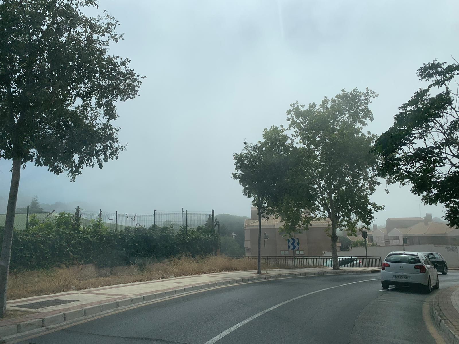 Domingo de taró en el litoral malagueño