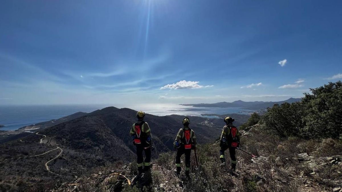 Tres bombers damunt el terreny cremat