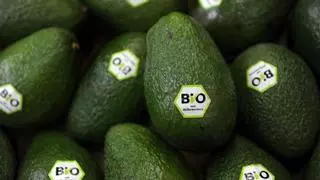 Sustitutos del aguacate: estos superalimentos de moda le hacen competencia