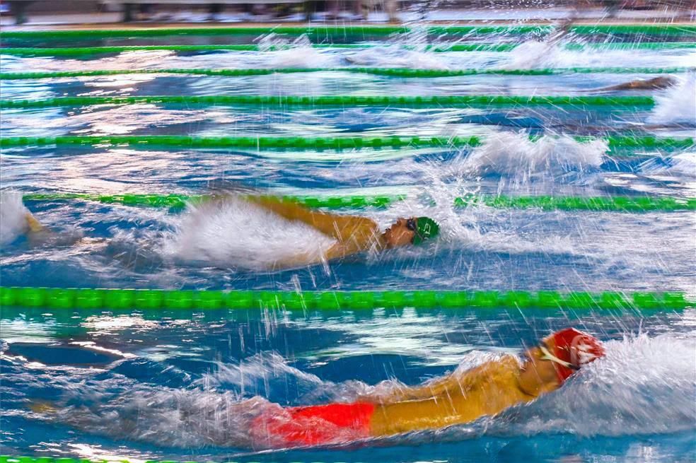 Trofeo Ciudad de Zaragoza de natación
