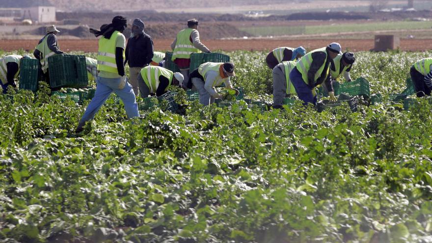 Una calculadora &#039;on line&#039; ayudará a los agricultores de la Región