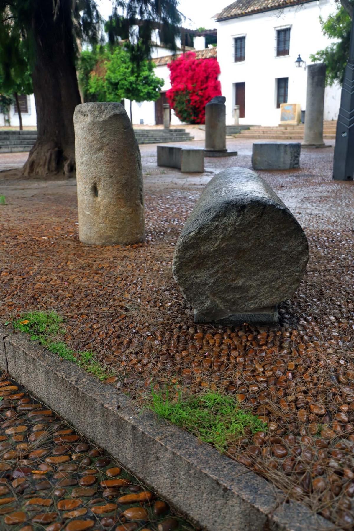 El día en el que reinó el verde