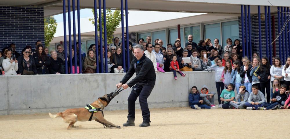 Exhibició de gossos policia