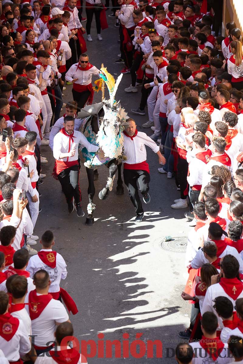 Caballos del Vino en la cuesta de la Simona