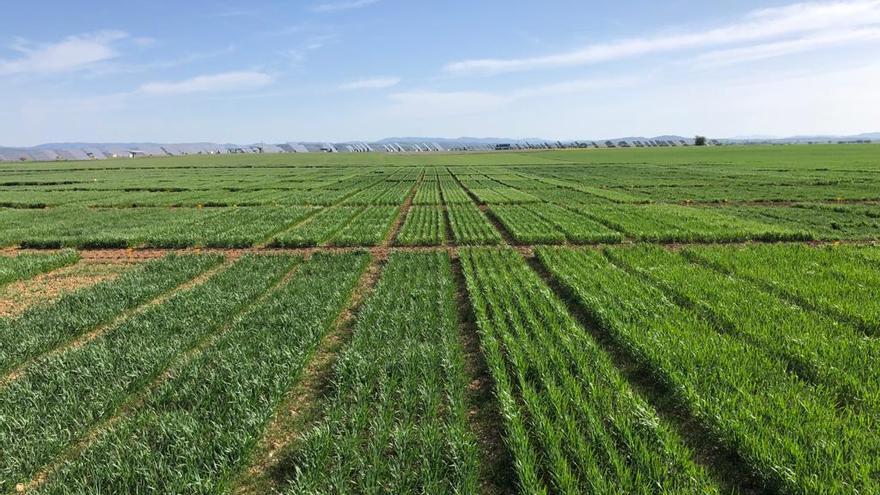 El camino cooperativo hacia la formación, la innovación y el conocimiento en el campo aragonés