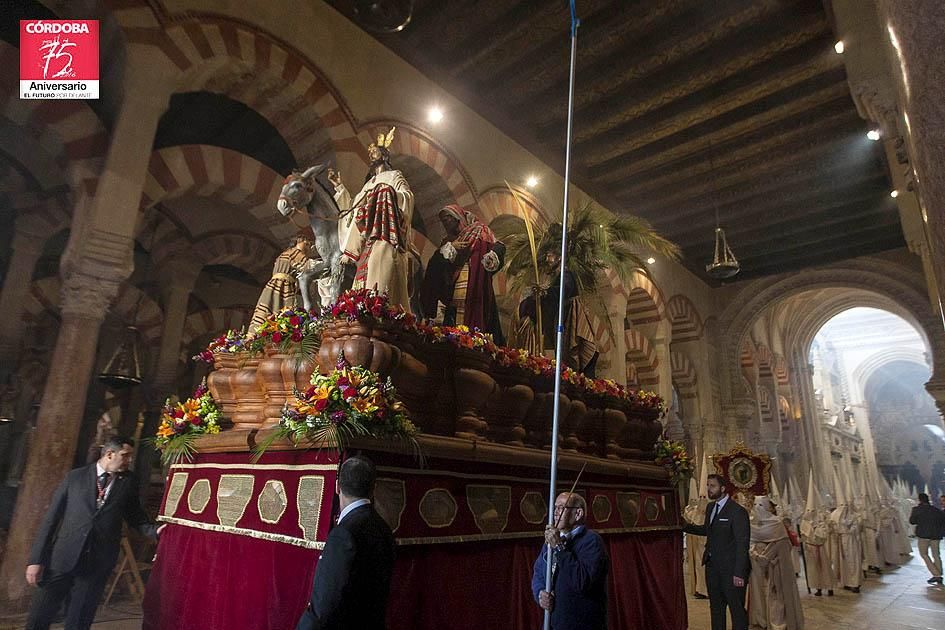 FOTOGALERÍA / Hermandad de Nuestro Padre Jesús de los Reyes en su Entrada Triunfal en Jerusalén