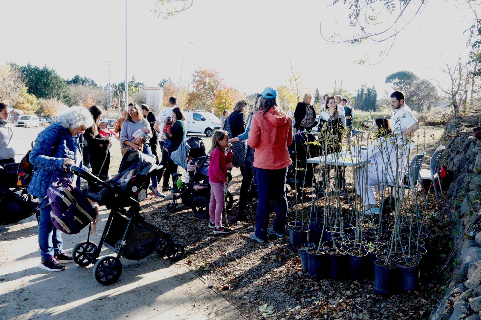 "Un nadó un arbre": l'hospital d'Olot ja ha arribat als 400