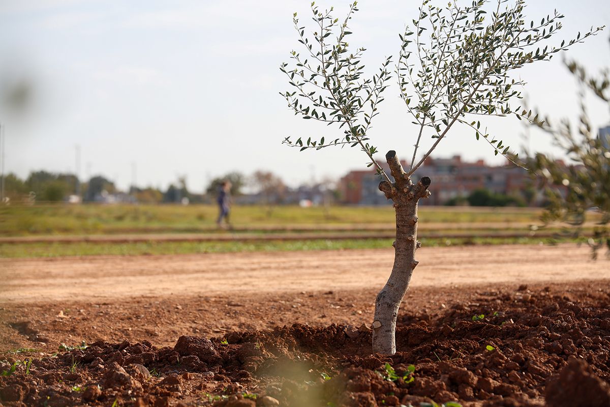 La empresa Fertinyect planta 100 nuevos árboles en el Parque del Flamenco