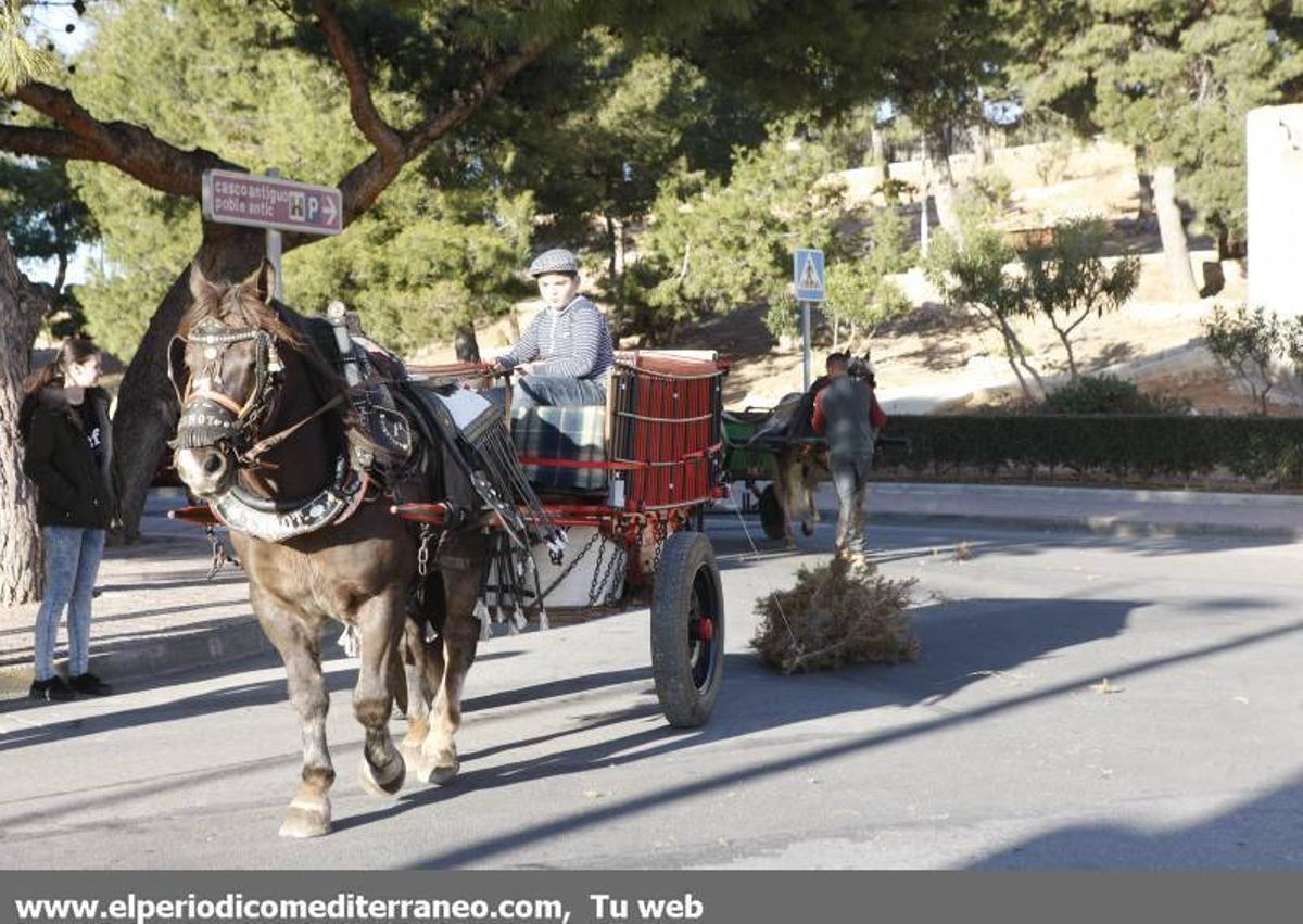 GALERÍA DE FOTOS -- Orpesa celebra Sant Antoni con carreras y bendición de animales