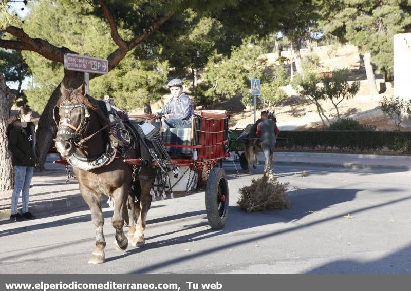 GALERÍA DE FOTOS -- Orpesa celebra Sant Antoni con carreras y bendición de animales