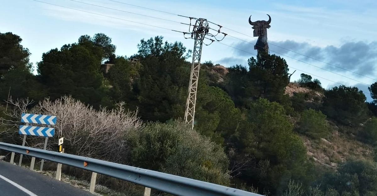 Vista del toro desde la carretera.
