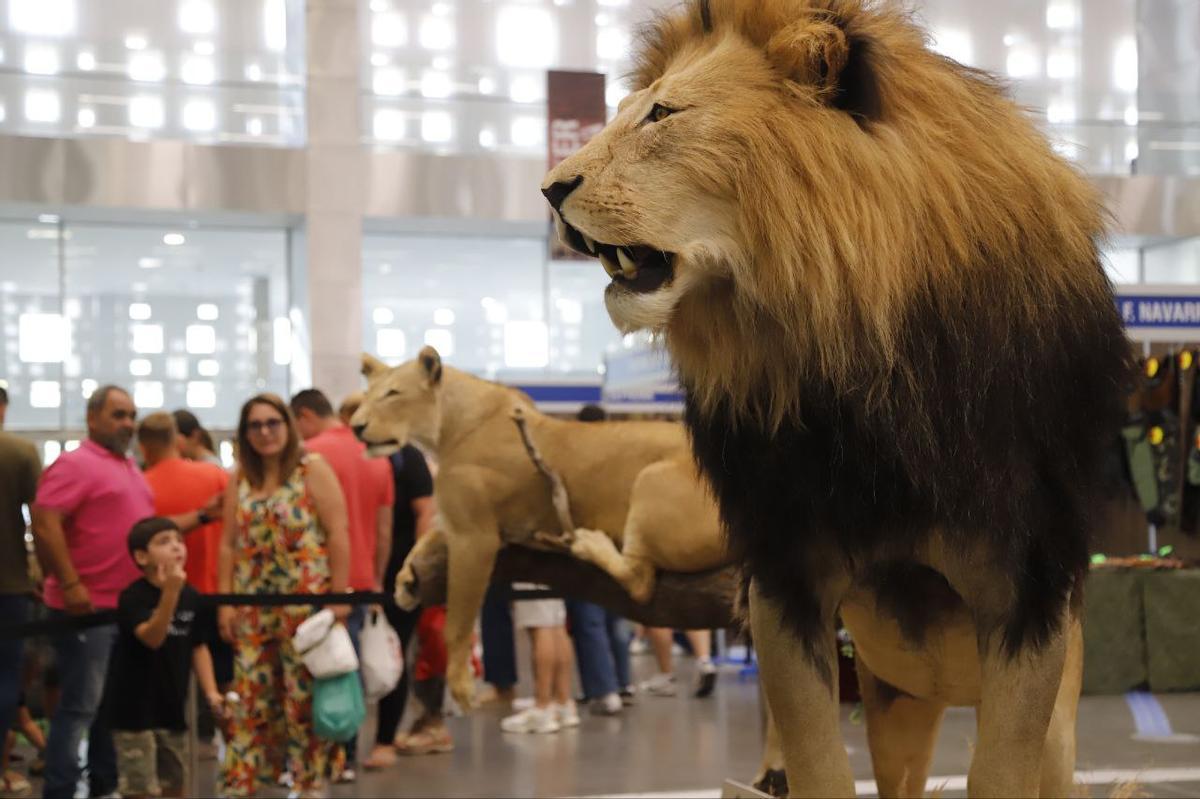 La feria Intercaza 2025, en imágenes