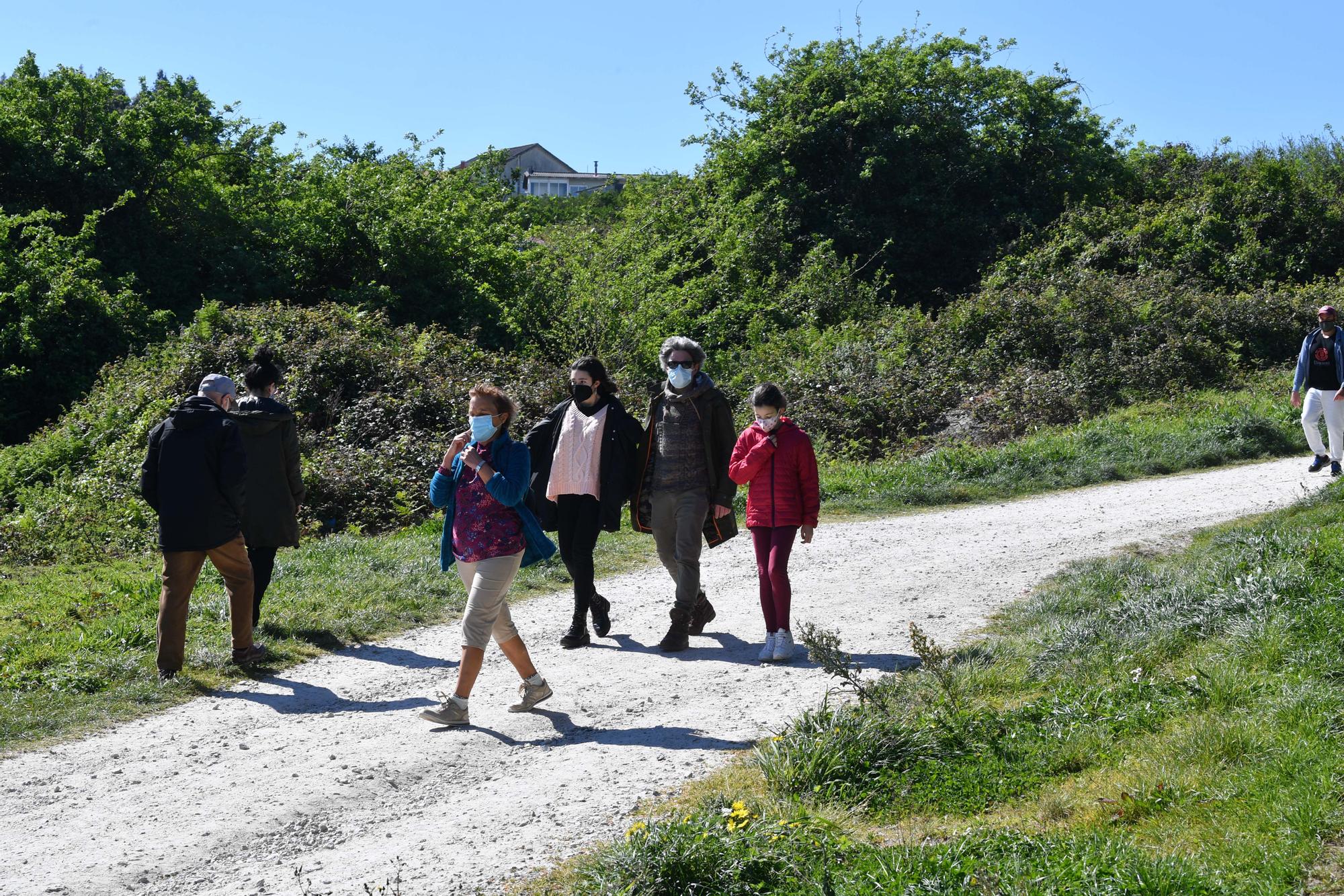 Huertos urbanos de A Coruña, un ocio saludable