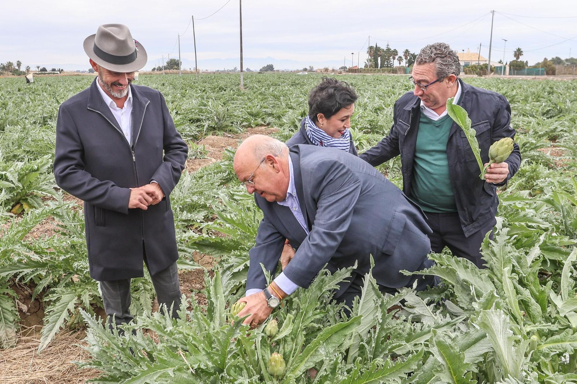 La chef Aurora Torres inaugura la temporada de la alcachofa