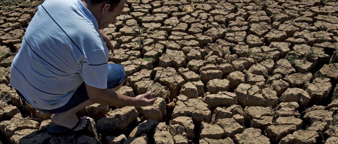 Terreno afecado por la sequía