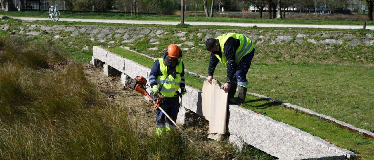 Trabajos de mantenimiento en la Illa das Esculturas. | // G. SANTOS