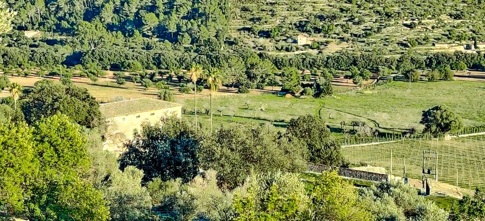 FOTOS | Así es Gabellí Gran en Mallorca, otra finca que se convertirá en hotel de lujo