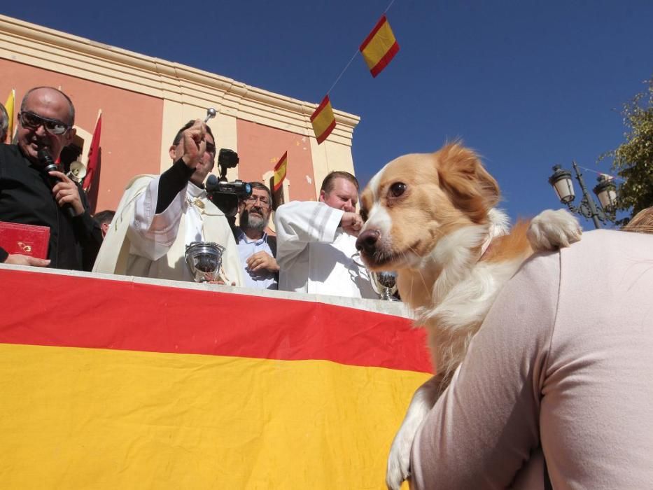 Los vecinos de Cartagena se han acercado junto a sus mascotas a recibir la bendición