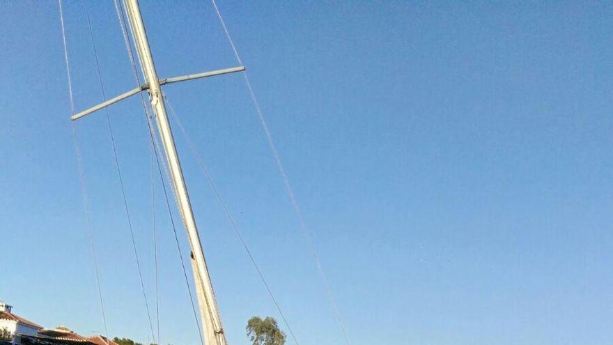 Imagen de El Cuarentón varado en la playa de Estepona.