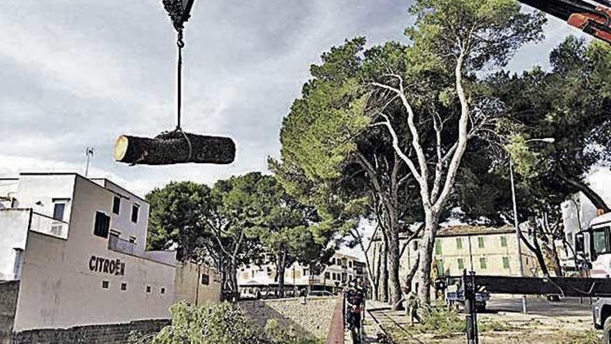 Instante de la retirada de los pinos y estado actual de la avenida.