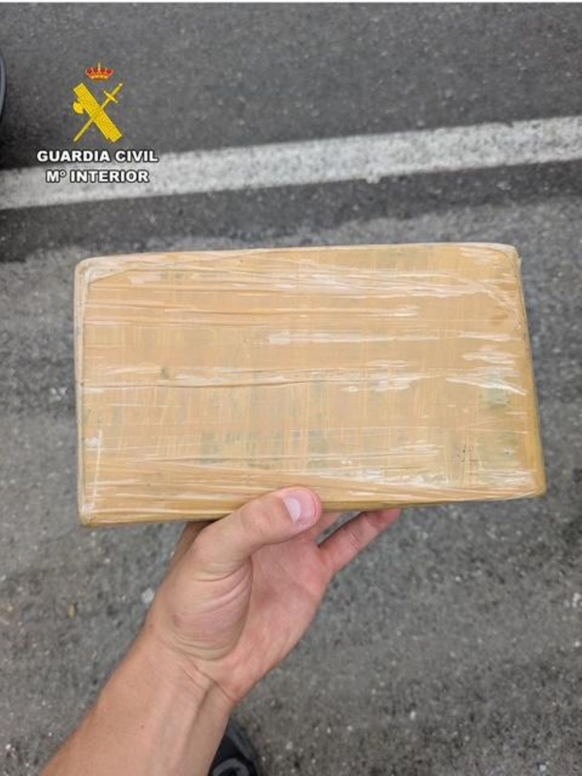 El paquete incautado.