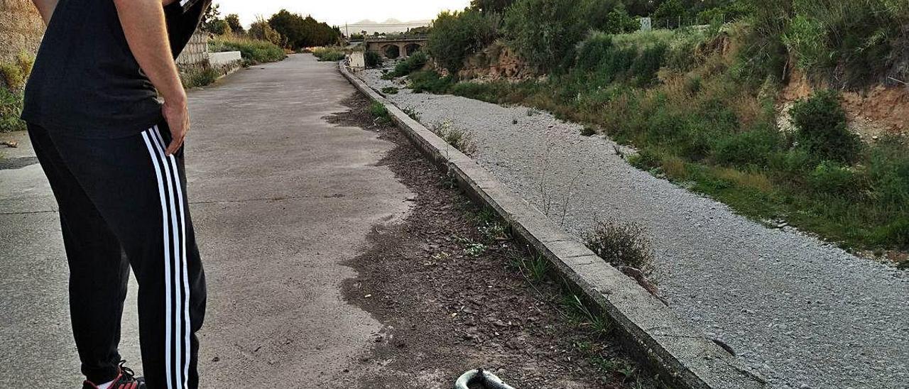 Un joven observa el cadáver de una culebra atropellada en el Camí del Riu Gorgos de Xàbia.