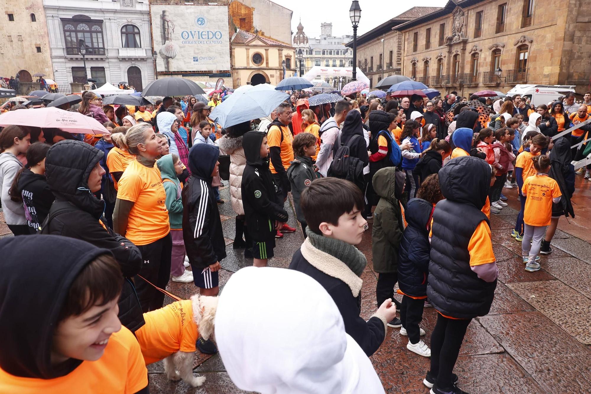 EN IMÁGENES: Así fue la carrera organizada por la asociación Galbán en Oviedo