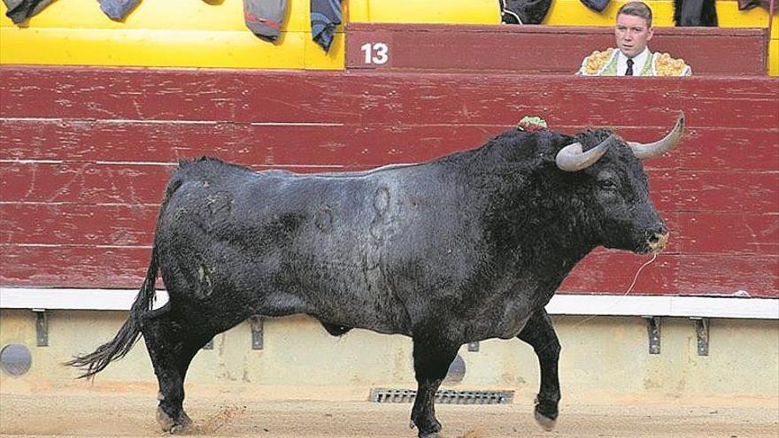 Adolfo Martín, fijo en la Magdalena