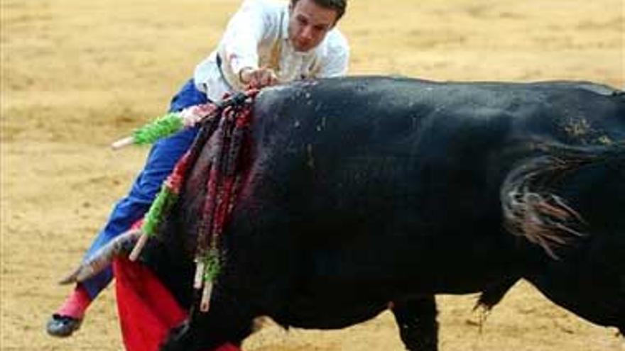 Antonio Ferrera torea esta tarde en Zafra pese a la cornada de ayer