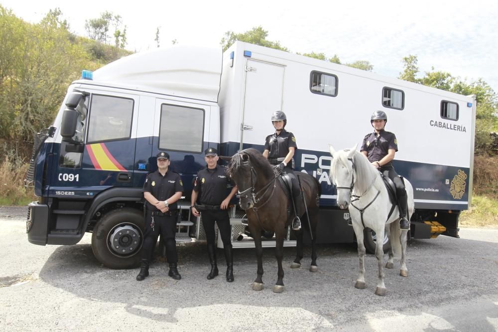 Vigilancia a caballo contra el fuego