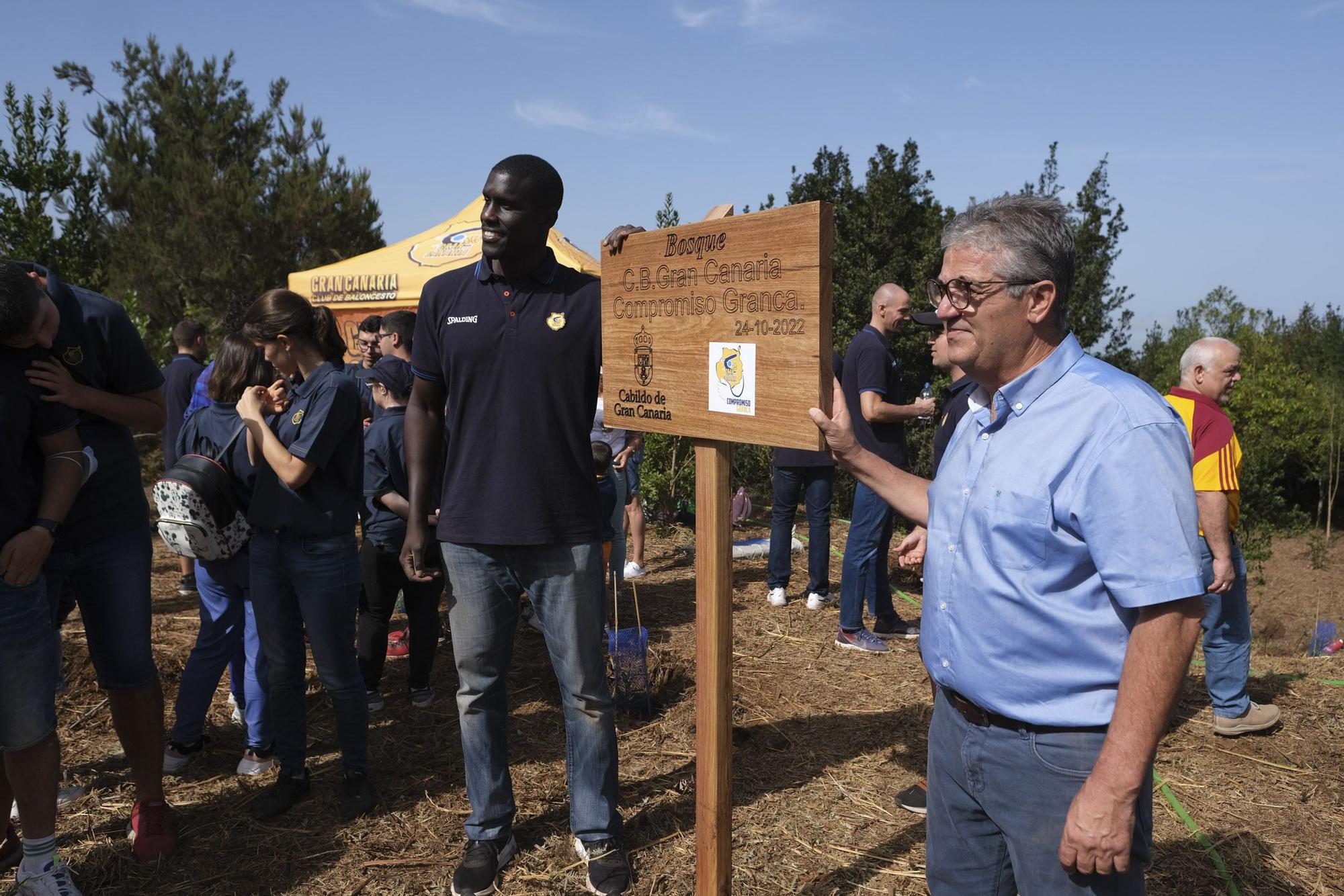 Reforestación 'Compromiso Granca'