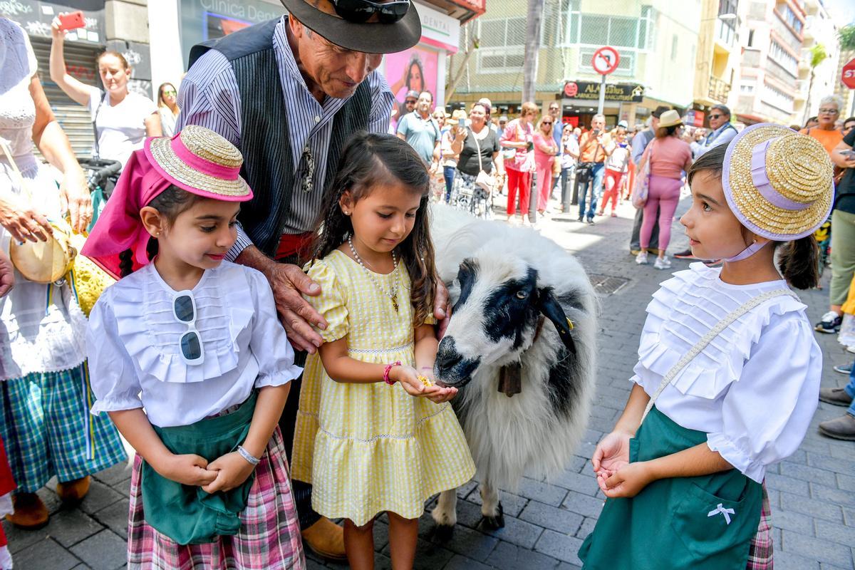 Luis González enseña a varias niñas a dar de comer a una de las dos ovejas que lleva, llamadas Lucio y Luana.