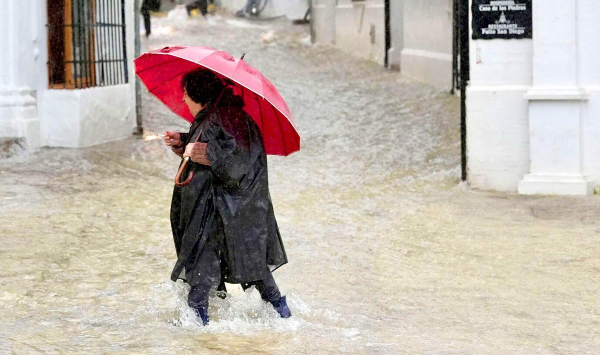 Las lluvias han sido abundantes en Andalucía este invierno.