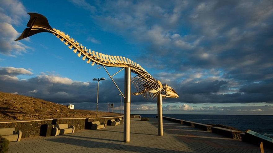 El esqueleto de ballena de Los Silos: todo un símbolo de Tenerife