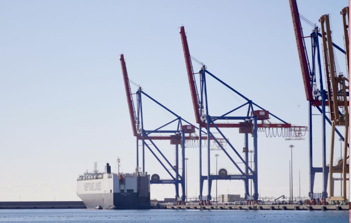 Grúas de contenedores del puerto de Málaga. | ÁLEX ZEA