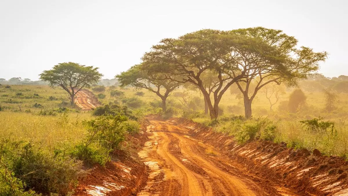 5 grandes aventuras para vivir (o soñar) este verano