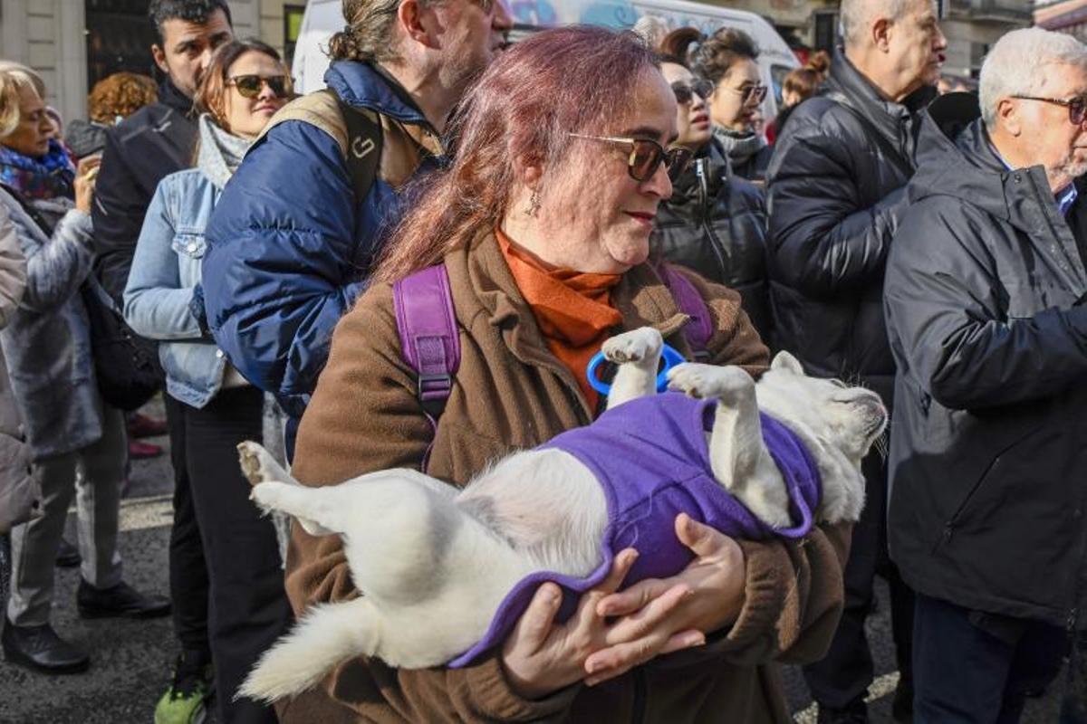 Bendición de animales en Els tres tombs