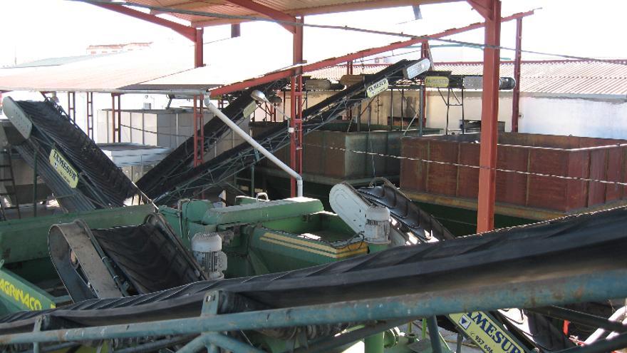 Maquinaria para el transporte de la aceituna en Olivarera Nuestra Señora del Carmen.