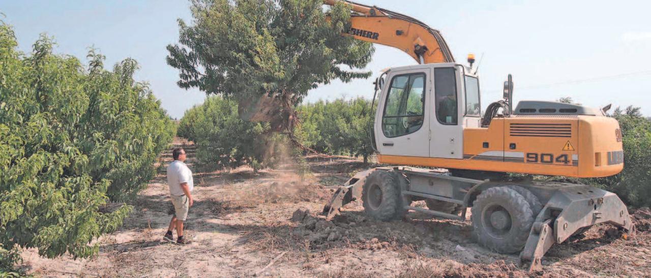 La C. Valenciana pierde 10.000 hectáreas de regadío en una década pese al repunte de 2017