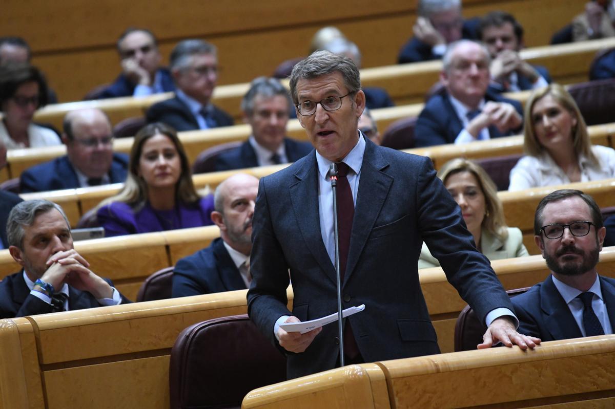 El líder del Partido Popular, Alberto Núñez Feijóo, interviene durante una sesión de control al Gobierno en el Senado, a 21 de febrero de 2023, en Madrid (España).