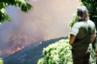 La maquinaria que originó el incendio de Sierra Bermeja arreglaba un camino sin permiso de la Junta