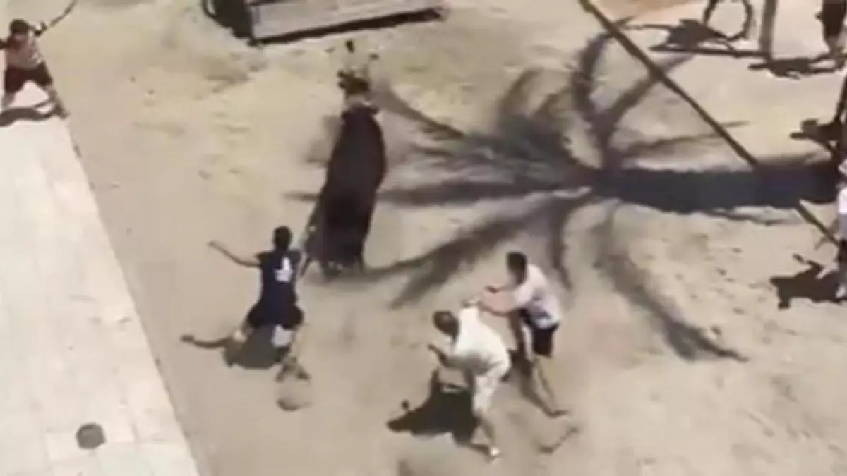 Vídeo: Un menor resulta herido en una aparatosa cogida durante las fiestas de Sant Pere del Grau de Castelló