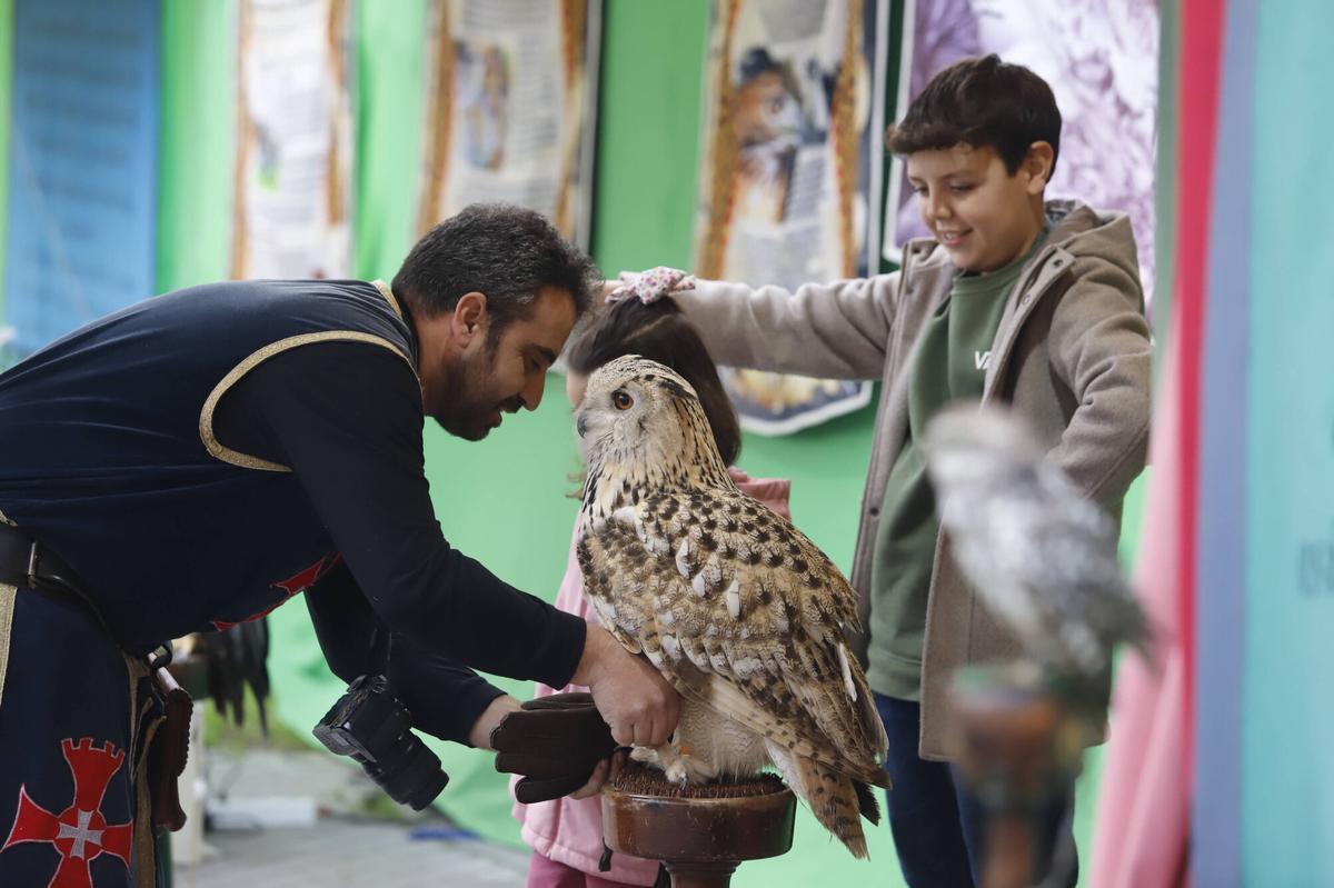 A.J.González Córdoba Segunda jornada del mercado temático andalusí de la Calahorra