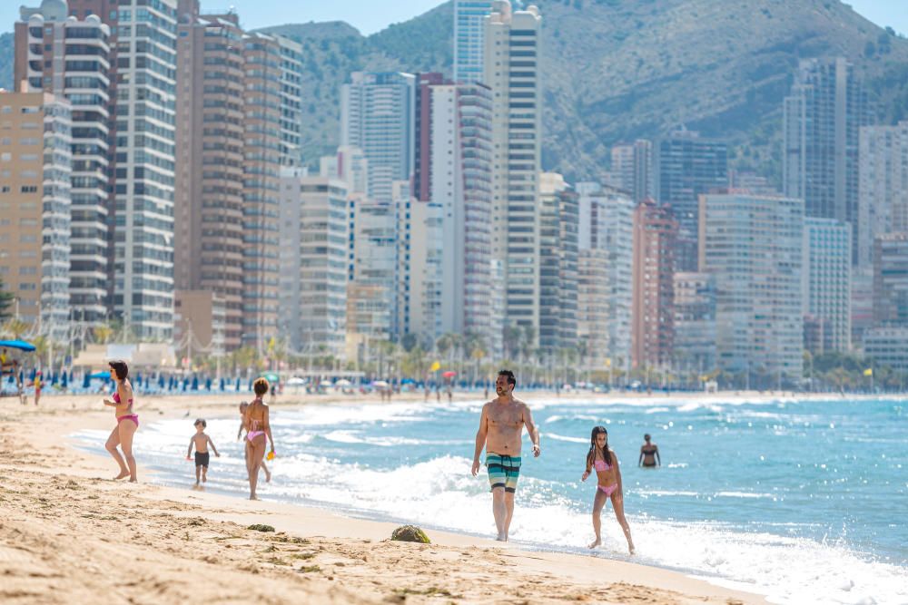 Quejas de usuarios en la apertura de las playas parceladas en Benidorm