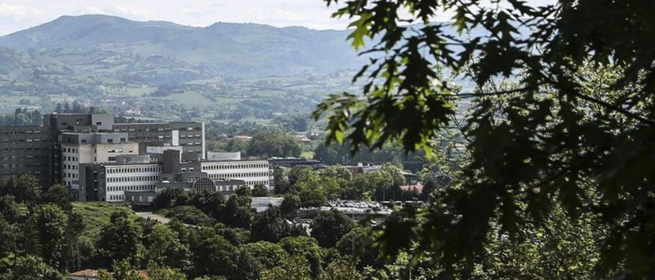 Una panorámica del Hospital de Cabueñes. | Julián Rus