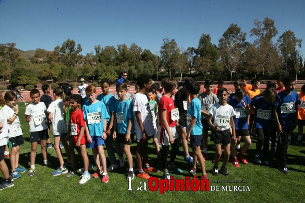 Final Cross Escolar de Lorca . Alevín masculino