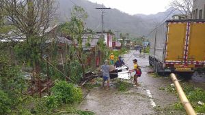 Daños causados por el supertifón Pepito en la localidad de Viga, en Filipinas.